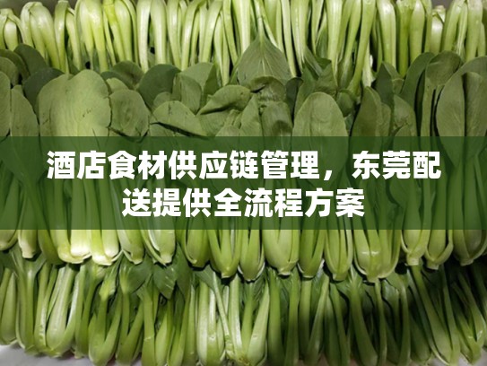 酒店食材供应链管理，东莞配送提供全流程方案