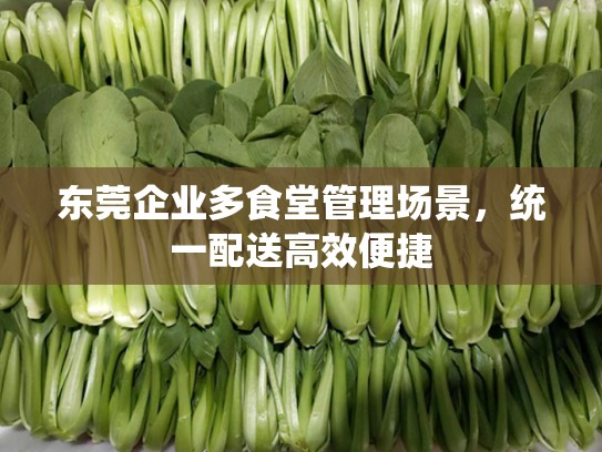 东莞企业多食堂管理场景，统一配送高效便捷