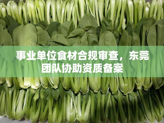 事业单位食材合规审查，东莞团队协助资质备案