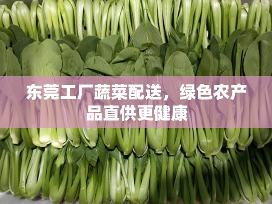 东莞工厂蔬菜配送，绿色农产品直供更健康