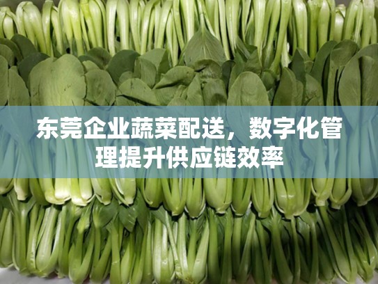 东莞企业蔬菜配送，数字化管理提升供应链效率