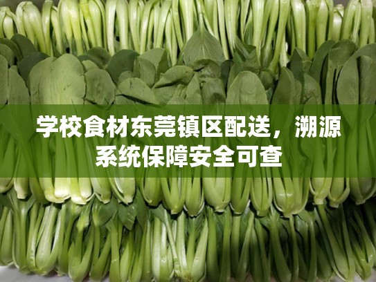 学校食材东莞镇区配送，溯源系统保障安全可查