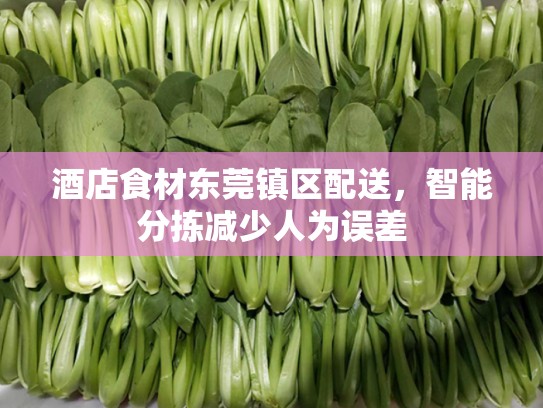 酒店食材东莞镇区配送，智能分拣减少人为误差
