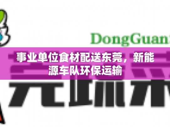 事业单位食材配送东莞，新能源车队环保运输