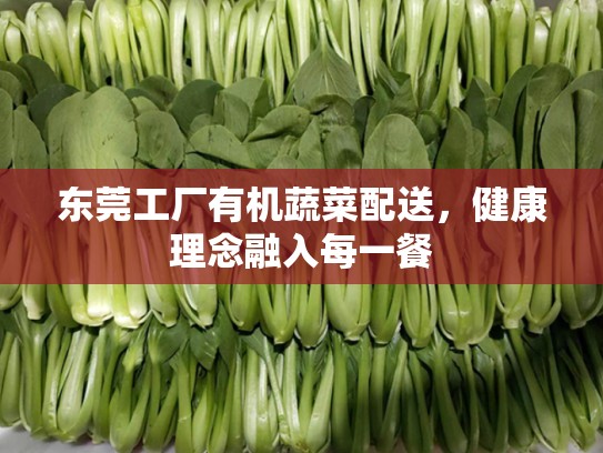 东莞工厂有机蔬菜配送，健康理念融入每一餐