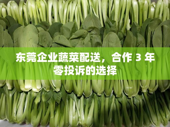东莞企业蔬菜配送，合作 3 年零投诉的选择