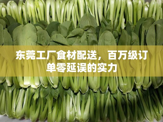 东莞工厂食材配送，百万级订单零延误的实力