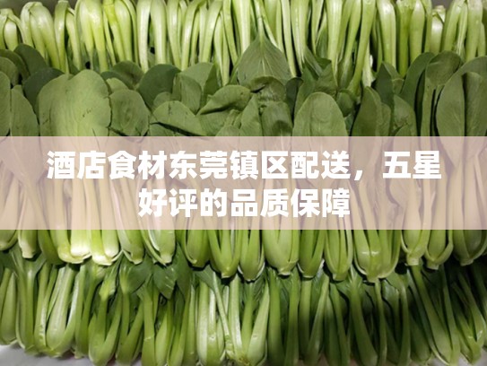 酒店食材东莞镇区配送，五星好评的品质保障