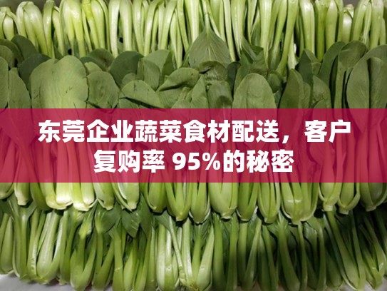 东莞企业蔬菜食材配送，客户复购率 95%的秘密