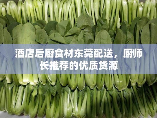 酒店后厨食材东莞配送，厨师长推荐的优质货源