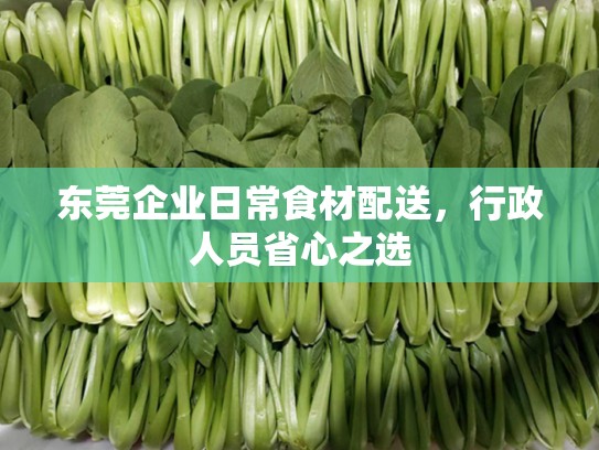 东莞企业日常食材配送，行政人员省心之选