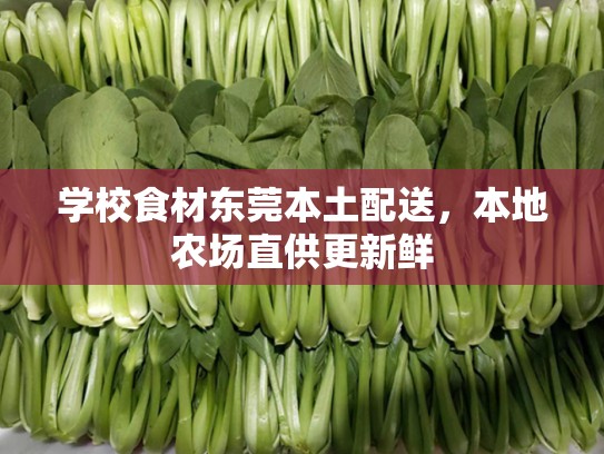 学校食材东莞本土配送，本地农场直供更新鲜
