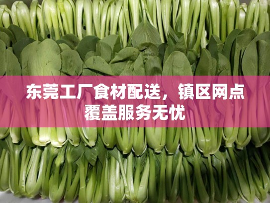 东莞工厂食材配送，镇区网点覆盖服务无忧