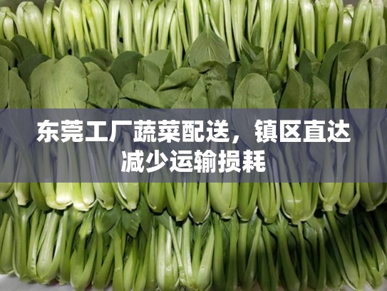 东莞工厂蔬菜配送，镇区直达减少运输损耗