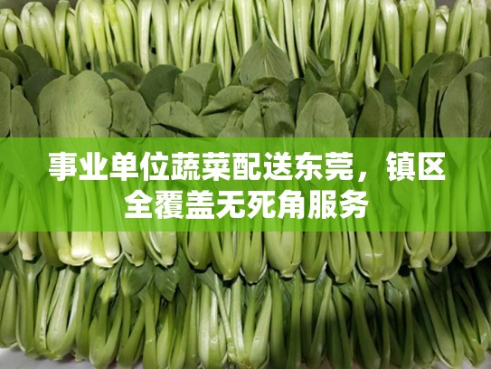 事业单位蔬菜配送东莞，镇区全覆盖无死角服务