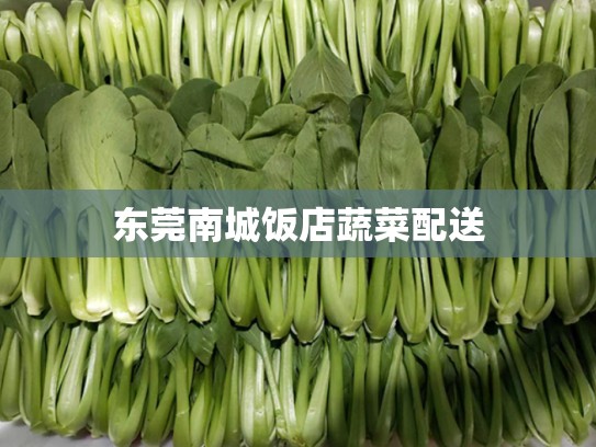 东莞南城饭店蔬菜配送