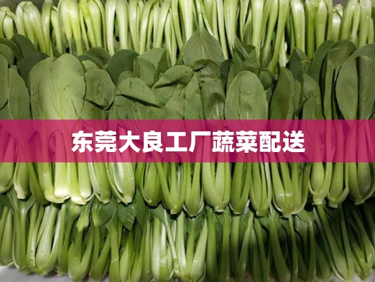 东莞大良工厂蔬菜配送