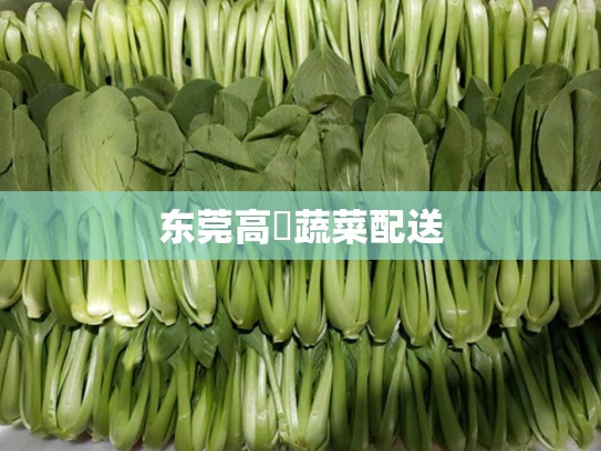 东莞高埗蔬菜配送