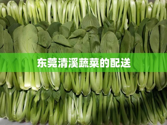 东莞清溪蔬菜的配送
