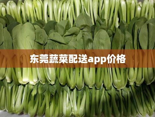 东莞蔬菜配送app价格