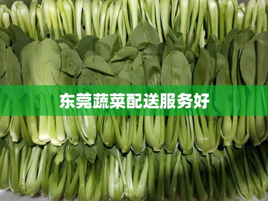 东莞蔬菜配送服务好