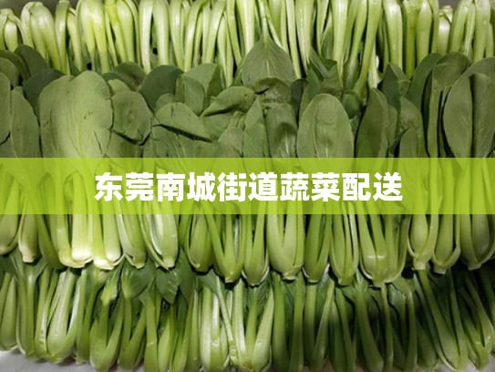 东莞南城街道蔬菜配送
