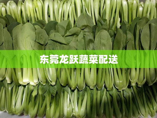 东莞龙跃蔬菜配送