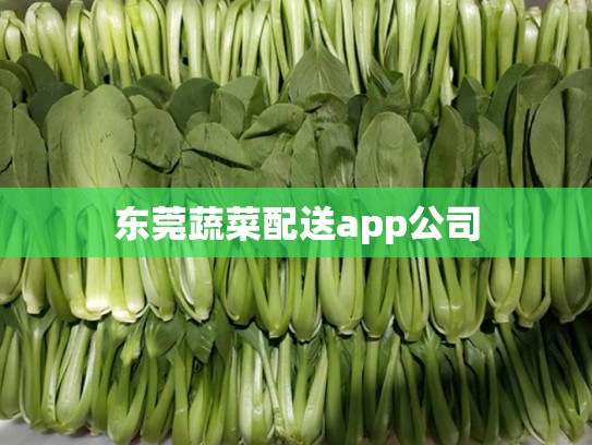 东莞蔬菜配送app公司