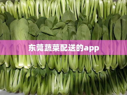 东莞蔬菜配送的app