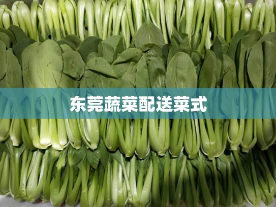 东莞蔬菜配送菜式