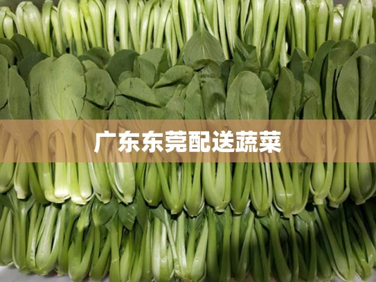 广东东莞配送蔬菜