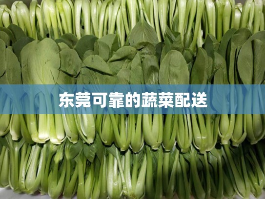 东莞可靠的蔬菜配送