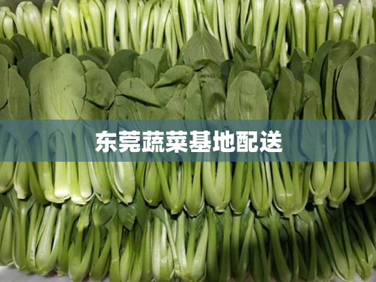 东莞蔬菜基地配送