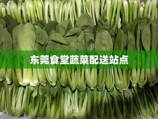 东莞食堂蔬菜配送站点