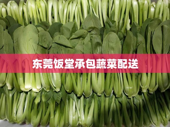 东莞饭堂承包蔬菜配送