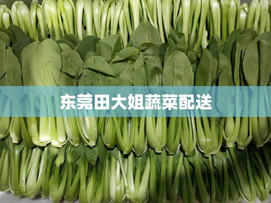 东莞田大姐蔬菜配送