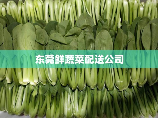 东莞鲜蔬菜配送公司