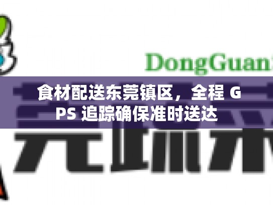  食材配送东莞镇区，全程 GPS 追踪确保准时送达