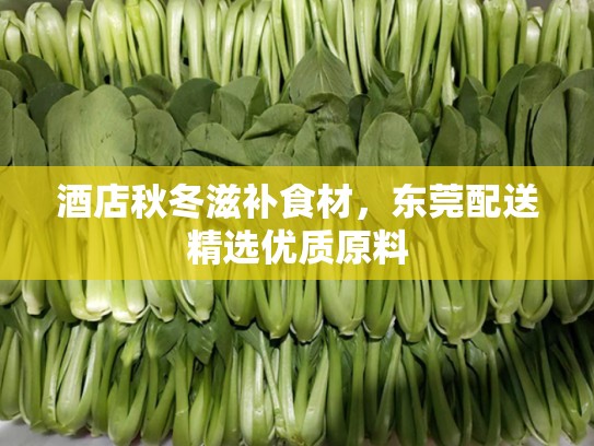 酒店秋冬滋补食材，东莞配送精选优质原料