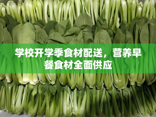 学校开学季食材配送，营养早餐食材全面供应