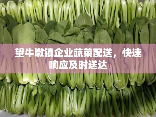 望牛墩镇企业蔬菜配送，快速响应及时送达