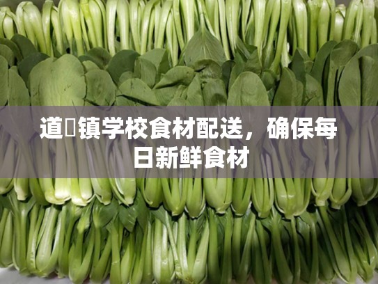 道滘镇学校食材配送，确保每日新鲜食材