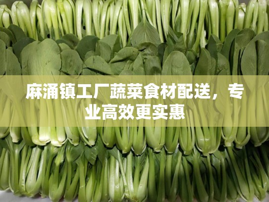 麻涌镇工厂蔬菜食材配送，专业高效更实惠