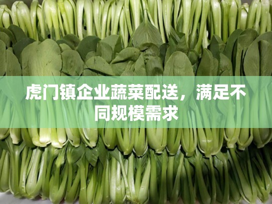 虎门镇企业蔬菜配送，满足不同规模需求
