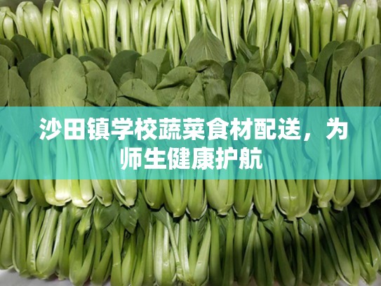  沙田镇学校蔬菜食材配送，为师生健康护航