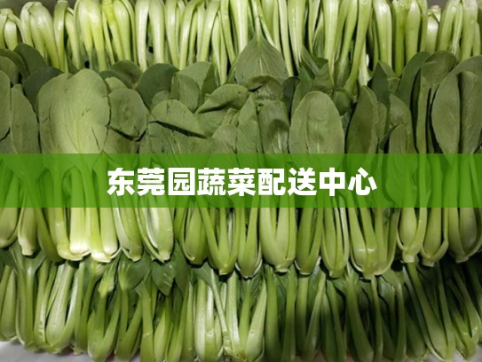 东莞园蔬菜配送中心