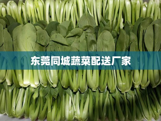 东莞同城蔬菜配送厂家
