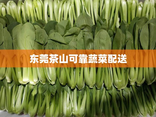 东莞茶山可靠蔬菜配送