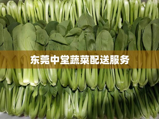 东莞中堂蔬菜配送服务