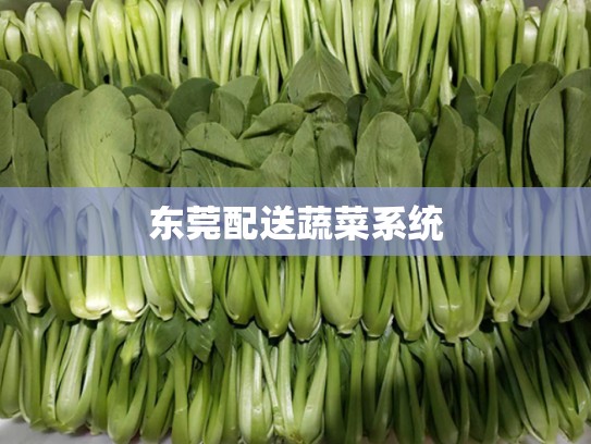 东莞配送蔬菜系统